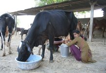 New tool to fight antimicrobial resistance New-tool-to-fight-antimicrobial-resistance