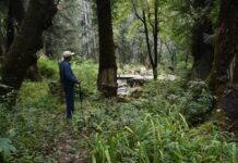 Nature experience helps to overcome distractions and build focus: Study Nature experience helps to overcome distractions and build focus: Study