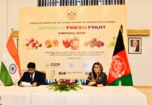 Afghan Fruit Virtual Business Matchmaking Event Hosted in India Afghan Fruit Virtual Business Matchmaking Event Hosted in India