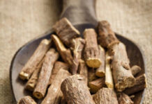 ‘Mulethi’ may help alleviate aggressive symptoms of COVID-19 ‘Mulethi’ may help alleviate aggressive symptoms of COVID-19