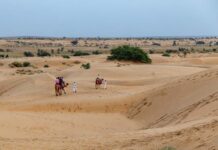 ‘DESIGNS’ to conserve and restore Thar desert ‘DESIGNS’ to conserve and restore Thar desert