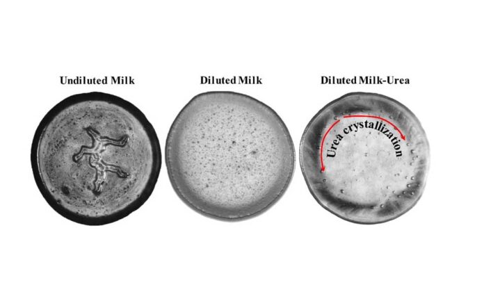 New method for detecting adulterants in milk