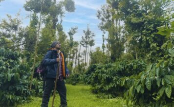 Brodha V kicks off 2022 with a ‘Divine’ surprise Brodha V kicks off 2022 with a ‘Divine’ surprise