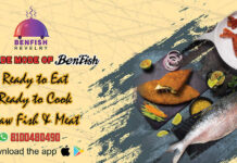 Benfish Revelry in New Way Benfish Revelry in New Way