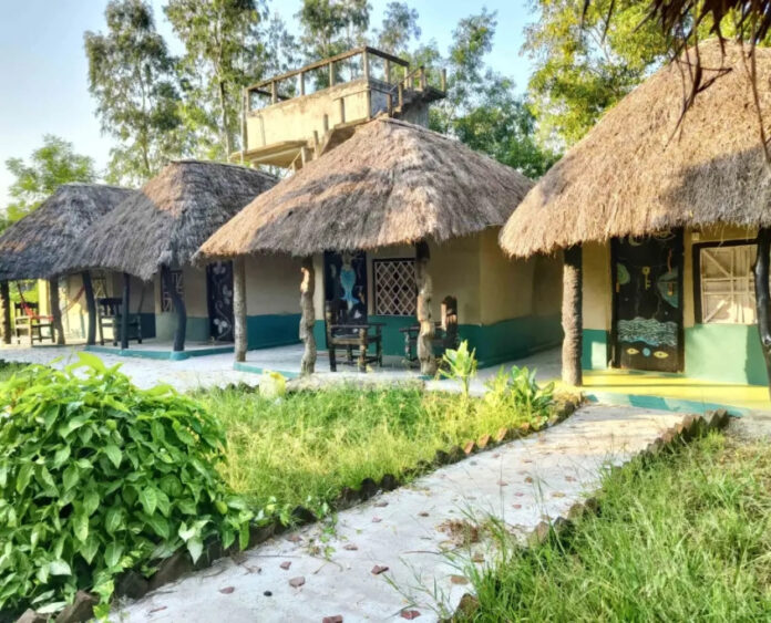 Adventure and Alignment: Sundarban's Eco Retreats Offer Thrilling Experiences for Mind and Body