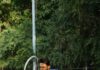 Consistency: The strongest pursuit of Vishwajeet’s career