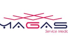 Discover a Single Window Ecosystem for Businesses and Professionals with MAGAS Services