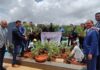 Marriott India Commemorates World Environment Day with Successful Launch of “Two Trees per Room” Initiative Across 150 Hotels Marriott India Commemorates World Environment Day with Successful Launch of “Two Trees per Room” Initiative Across 150 Hotels