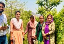 Taste the Himalayas Blessing: Jaivik Uttarakhand’s Aromatic Solution for Hill Farmers Jaivik Uttarakhand, Sustainable Tea, Himalayan Brew, Eco Friendly Farming, Tea Lovers India, Organic Tea, Farm To Cup, Uttarakhand Tea, Natural Goodness, Support Local Farmers,