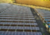 Dynamic Services & Security Ltd. Teams Up for Major Solar Power Project: 100 MW Plant in Manipur
