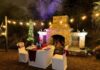 Araiya Palampur Unveils Enchanting Valentine’s Packages for an Unforgettable Celebration