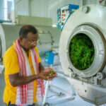 Ootsaa: From the Heart of Assam, A Cup That Speaks of Purity