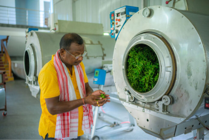 Ootsaa From the Heart of Assam, A Cup That Speaks of Purity