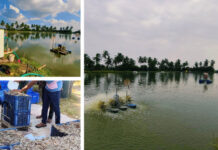 Restoring Water Bodies Sustainably with Prasinos Nanobubble Technology