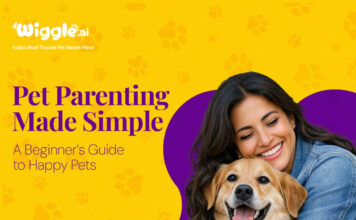 Pet Parenting Made Simple: A Beginner’s Guide to Happy Pets